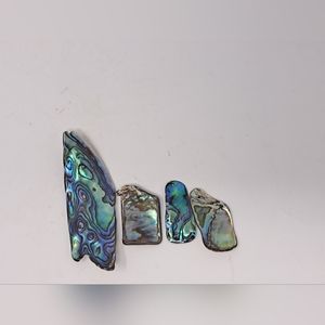 Abalone Shell Peices